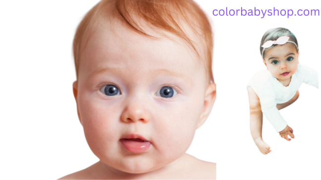 Baby Hair Color Predictor